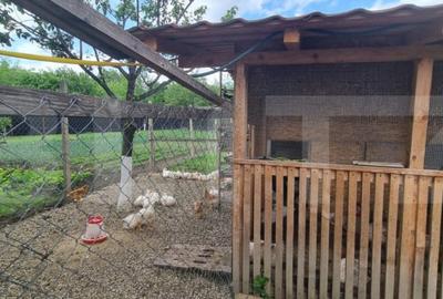 Casă cu 4 camere cu Teren 1800 Mp în Măgurele - 17