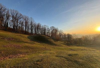 Teren de vanzare Nistoresti-Breaza 1100 mp, zona frumoasa langa padure, ideal pentru cabana la munte - 6