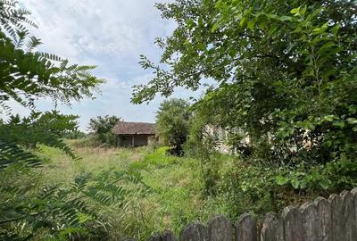 Teren intravilan cu casa de demolat, toate utilitatile - Denta - 4