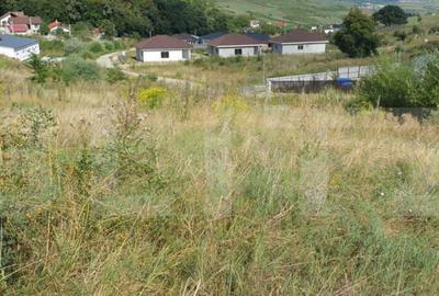 Teren de 785 mp, zona Dealul Jelnei - 3