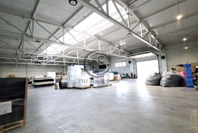 Spațiu industrial, de 945 mp, în Filipeștii de Pădure - 3