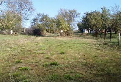 Teren agricol intravilan de 3038 mp, în Ardud - 5