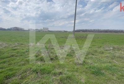 Teren Construcții intravilan de 1000 mp, în Cârcea - 2