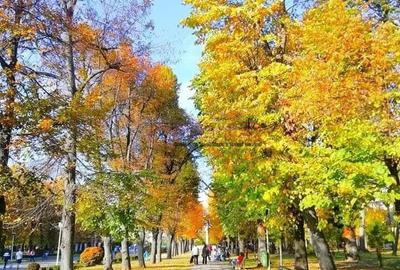 Apartament cu 2 camere în Șerban Vodă - 8