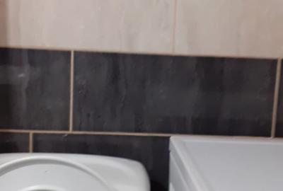 Garsonieră decomandată, mobilată în Păcii - 3