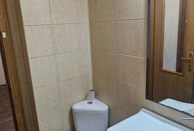 Apartament cu 3 camere decomandat în Nicolina - 19
