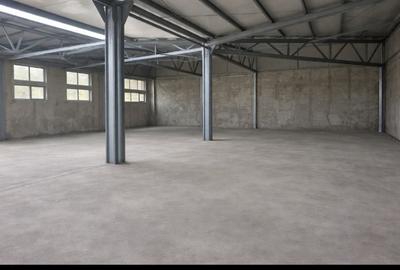 Spațiu comercial, de 300 mp, în Colentina