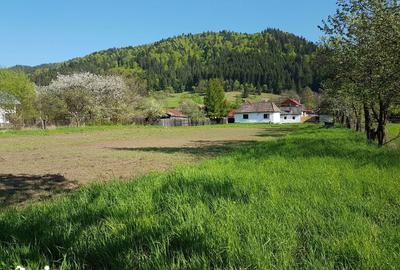 Teren de 1400 mp, în Lunca - 15
