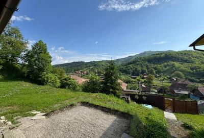 Casa de vanzare, 5 cam., 200 mp. + 5000 mp. teren, Valea Ariesului - 8