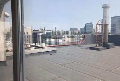 Spațiu comercial, de 7,000 mp, în Aviației - 5