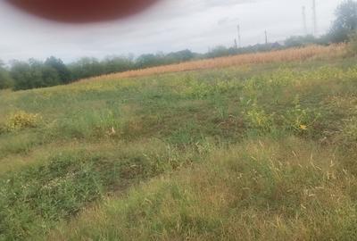 Spațiu comercial, în Poiana Lacului - 1