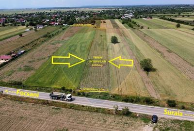 Teren agricol intravilan de 6000 mp, în Biliești - 1