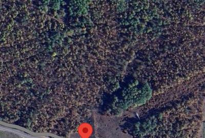 Teren de 7900 mp, în Sălicea - 1