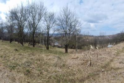 Casă cu 2 camere în Feleacu - 9