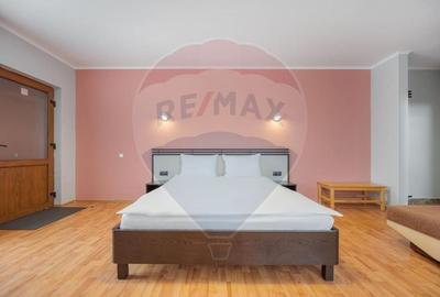 Casă / Vilă cu 16 camere de vânzare Sanmartin/Stefan cel Mare - 11