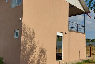 Casa la gri pe structura metalica Sarbatoarea Dolj - 3