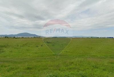 Teren de 2000 mp, în Bartolomeu