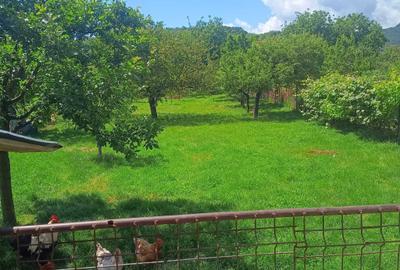 Casă cu 4 camere în Bujoreni - 5