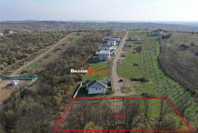 2500 MP | PARCELABIL IN 4 LOTURI DE CASA | ZONA DEALURI - 2