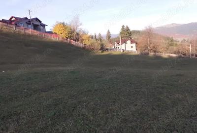Teren de 13700 mp, în Nereju - 8