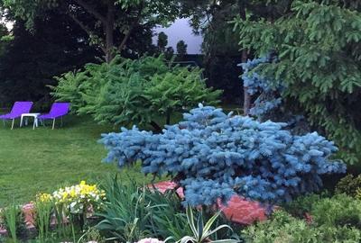 PROPRIETATE CU ENERGIE PURA |  Sanctuarul Eleganței și Rafinamentului - 20