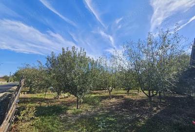 Vanzare teren *intravilan 308 mp cu utilita?i* - Sat Ceauru, Comuna Bale?ti - 3