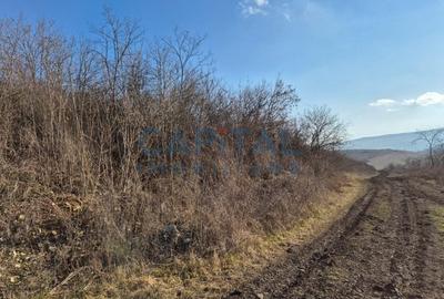 Teren intravilan, 1 000 mp, zona Tausor - 7