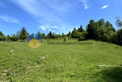 Teren 11557 mp comuna Ceahlau - 4