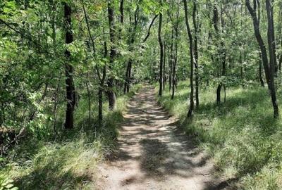Teren de 5000 mp, în Spătaru