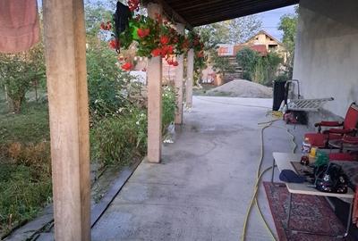 Casă cu 2 camere în Câlnic - 6