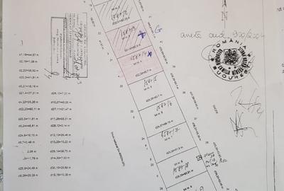 Teren intravilan 5.000 m² cu 40 m deschidere la DN2A – langa Kaufland Slobozia - 6