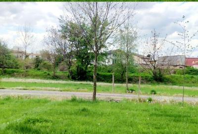 Teren de 800 mp, în Joița - 11