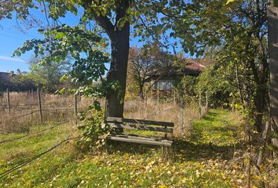 Teren Construcții intravilan de 3457 mp, în Bucov - 2