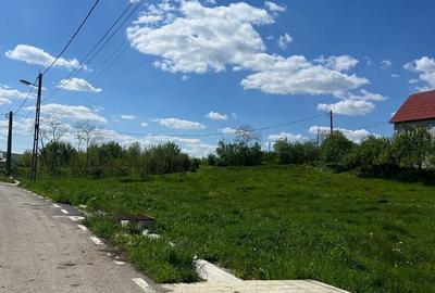 Teren de 1250 mp, în Răscruci - 5