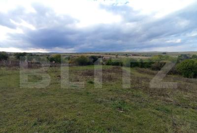 Oportunitate ! Teren intravilan, 1500 mp, sat LIvada , panor - 1