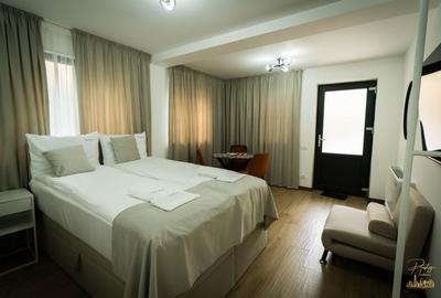 Apartament cu o camera de inchiriat in zona Ultracentrala- Oradea - 14
