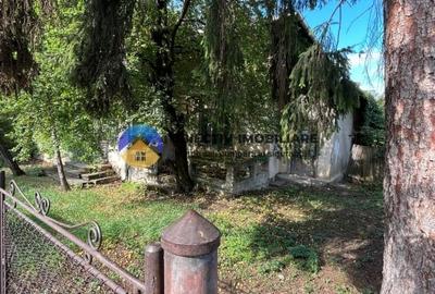 Teren Piatra Neamt zona centrala - 7