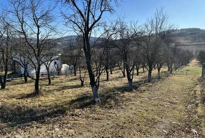Teren de 1500 mp, în Central - 3