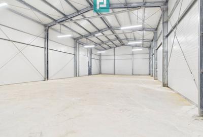 Spațiu industrial, de 550 mp, în Giarmata - 1