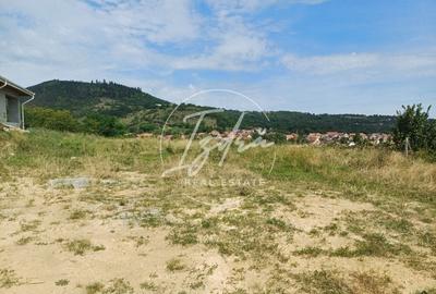 Teren intravilan de vanzare in Saliste
