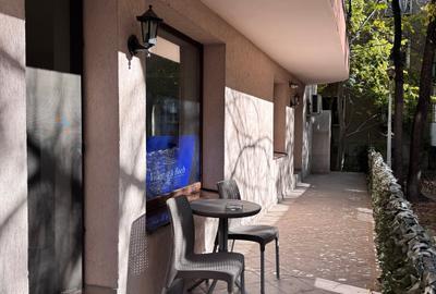 Floreasca / Rahmaniniov/ Spațiu de Birou la Parter + Terasa / 100 Mp - 14
