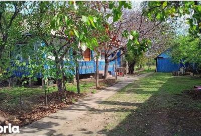 Casă cu 2 camere cu Teren 50 Mp în Lunca - 3