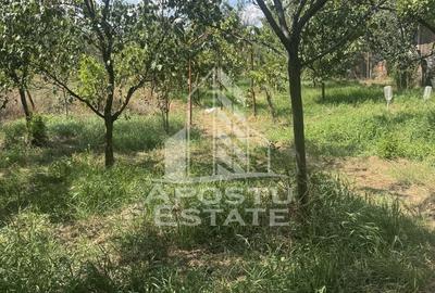 Casă unifamilială cu teren de 1504 mp - 19