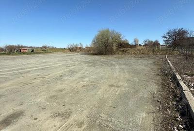 Spațiu comercial, în Șagu