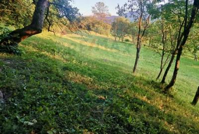 Teren de 6900 mp, în Breb