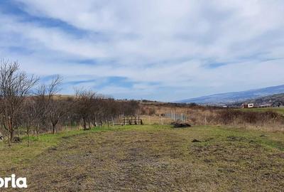 Teren de 1800 mp, în Central - 6