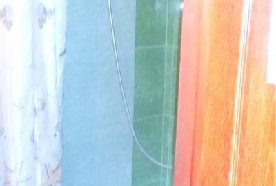 Cazare muncitori in calea buziasului - 19