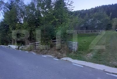 Casa la munte, cu teren 13383 mp, zona Horea - Apuseni - 8