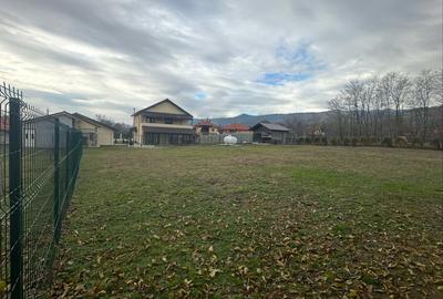 Casa moderna langa Transalpina finalizata in 2023 - 6