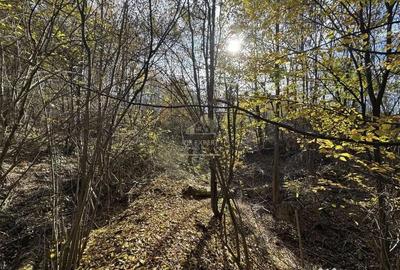 Teren de 13167 mp, în Bughea de Sus - 2